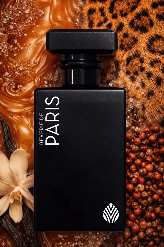 REVERIE DE PARIS